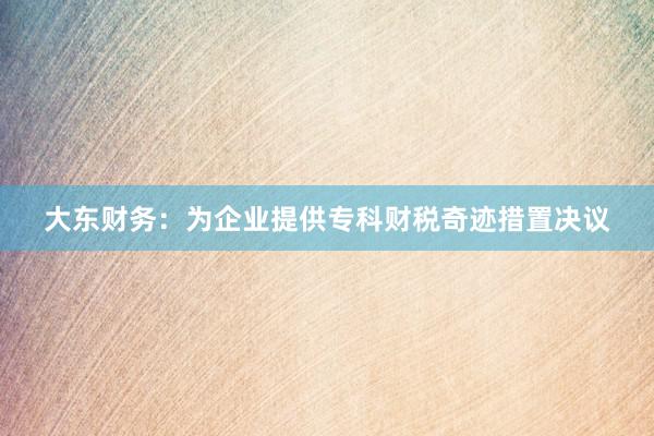 大东财务：为企业提供专科财税奇迹措置决议