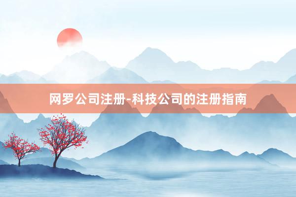网罗公司注册-科技公司的注册指南